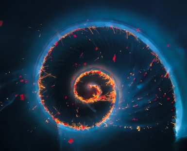 Micro Mollusk