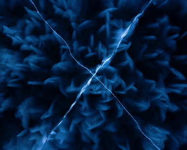 Frozen X