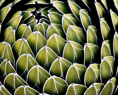 Non-figurative photography