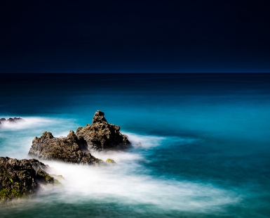 Sycamore Cove Blues 
