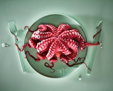 Red Octopus