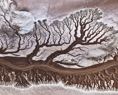 Colorado river 