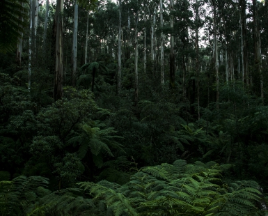 AUSTRALIA