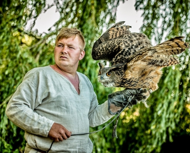 Falconer