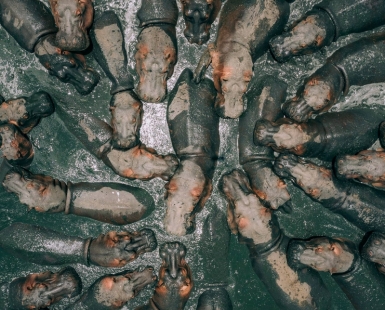 HUNGRY HIPPOS