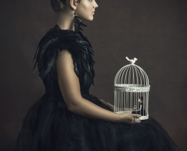 The cage