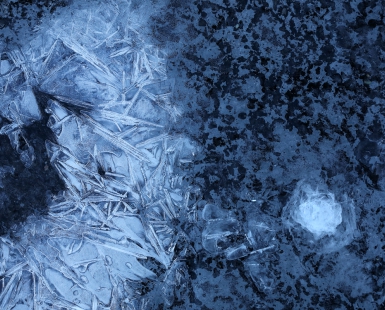 Ice Life