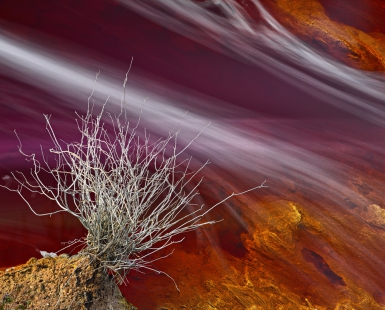 Witness of the red river