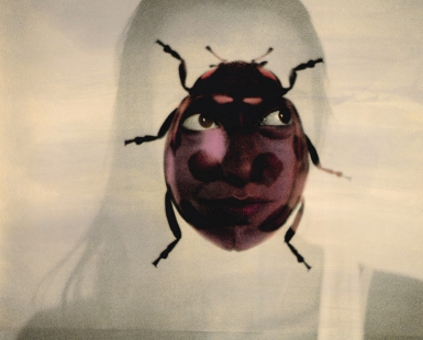 Anthropomorphe