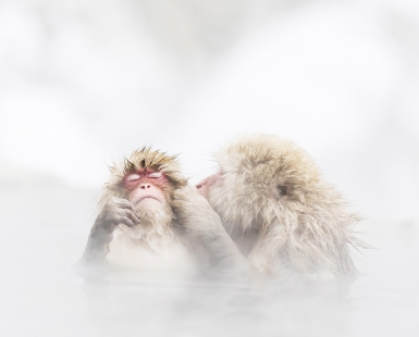 hot kiss