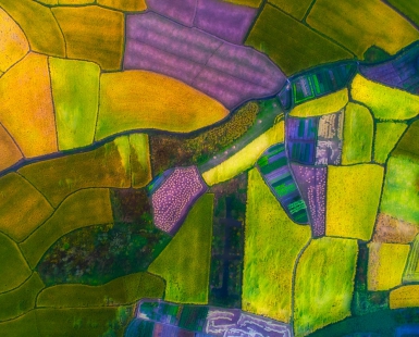 colorful farmland