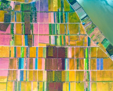 Natural Palette