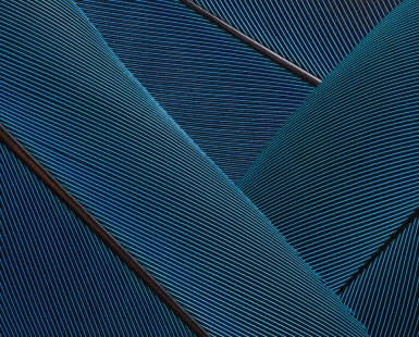 Blue Native