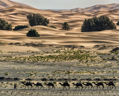 Erg Chebbi