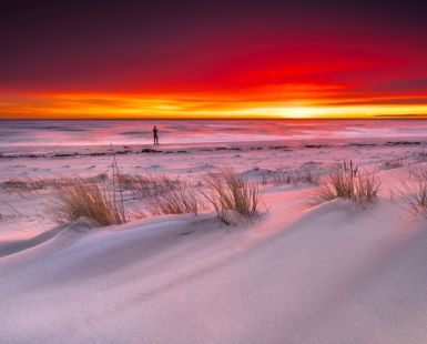 The beach