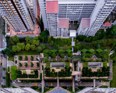 Landscape Design