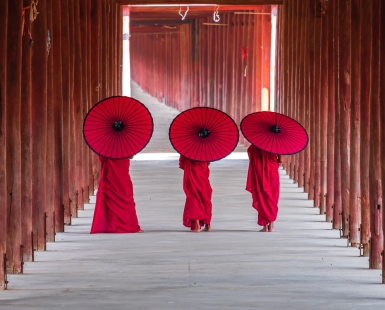 Novices monk