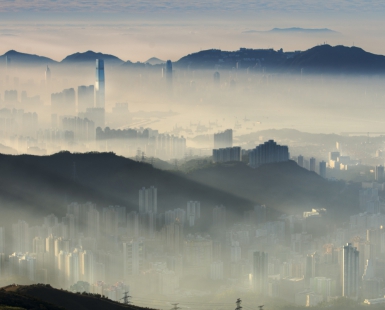 Hong Kong in white 