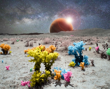 Desert Eclipse 