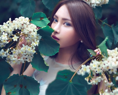 Tung Blossom