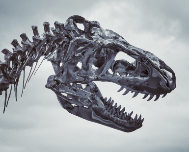 Dinosaur Head