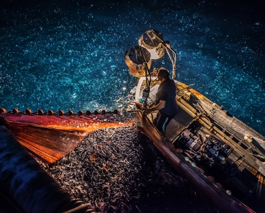 Pesca a Lampara