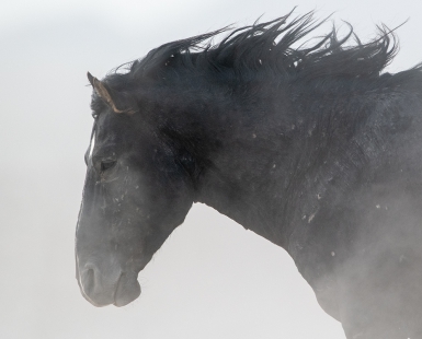 Endurance