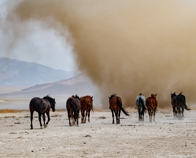 Into The Storm