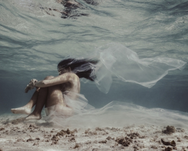 Life wrapped in plastic