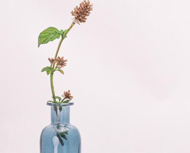 Still Life 4