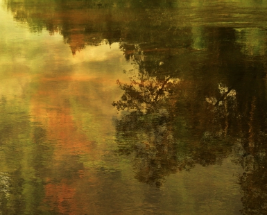 Reflections on the Maskinonge