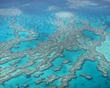 The Great Barrier Reef
