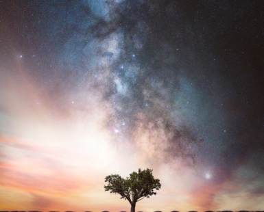 Edge of Night