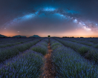 Milky Way Arch