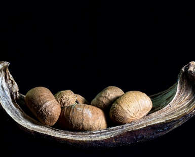 Seed canoe