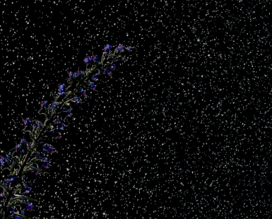 Galaxy from my backyard