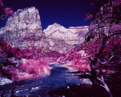 Zion National Park