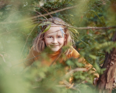 Playground in the trees