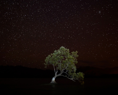Lonely night
