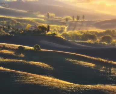 Tuscany light