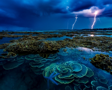In the thunderstorm 