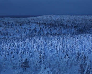 Polar Night