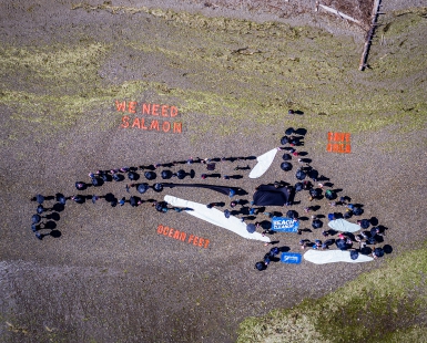 Orca Mural