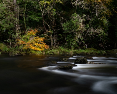 Autumn