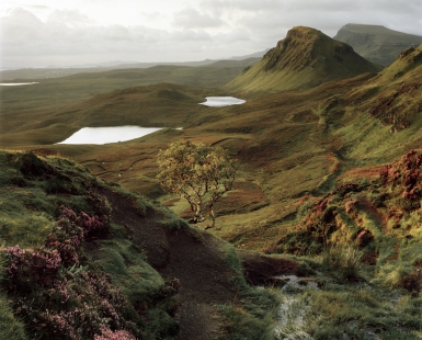 QUIRAING AT SUNRISE