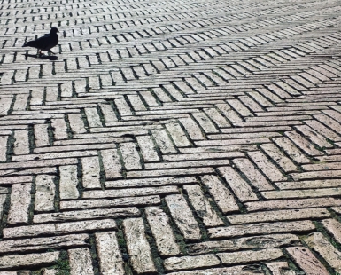 Man and Bird