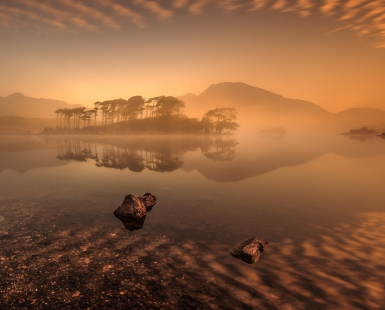 Pine Island