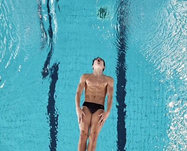 The diver