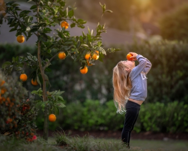 The smell of citrus 