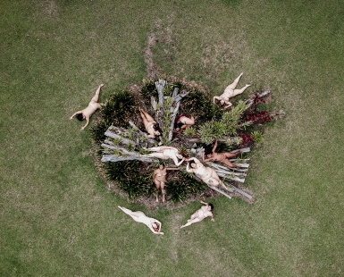 Garden of delights